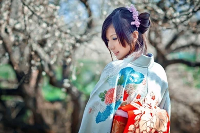 Aritsuy Atko: Japanese Kimono Wallpapers