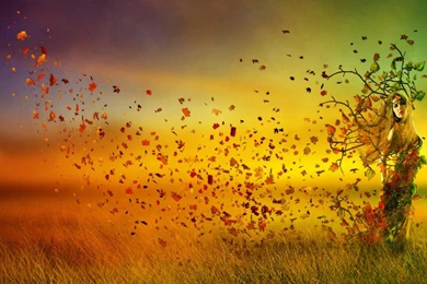 Fall Fantasy Dance   HD Wallpapers Widescreen   1440x900