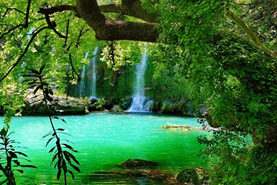 Green Nature Waterfall 4460 Wallpapers Wallpapers Hd