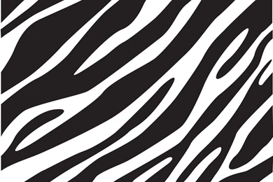 6874554 zebra print wallpapers   Wallpapers HD   Wallpapers HD 4K ...