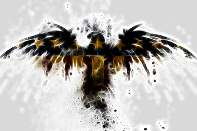 New American Eagle Wallpapers Wide