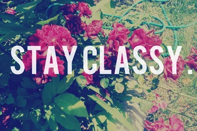 Flowers Wallpapers Tumblr Quotes