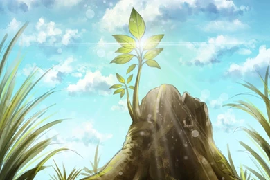 Tree Stump Tree Art Painting Wallpapers HD Free Download