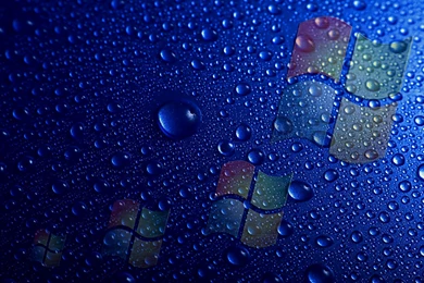 Blue Technology HD 2560x1600 Microsoft Windows