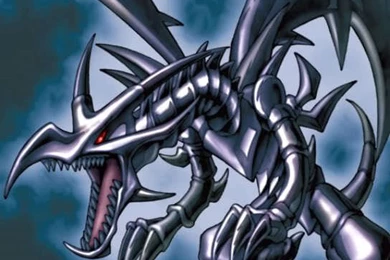 Yu Gi Oh! Cards Fans