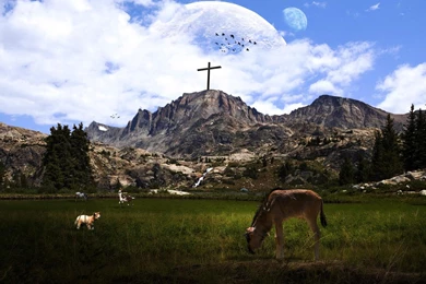 Mountains Nature Animals Peace Paradise Greek Wallpapers