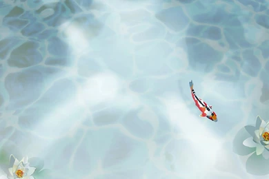 Wallpapers Koi Fish Watercolour Water Free Computer 1024x768 ...