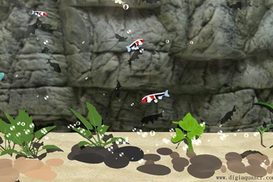 Free Aquarium Wallpapers