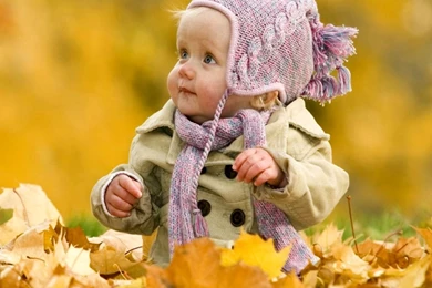 Cute Wallpapers Download