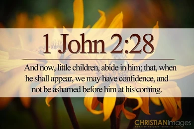 Encouraging Quotes HD Wallpapers Desktop Wallpapers ...