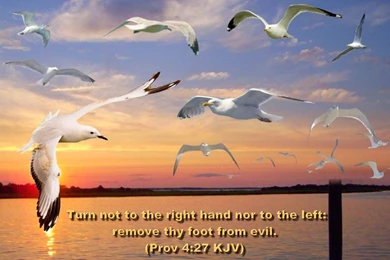 Download HD New Year 2016 Bible Verse Greetings Card & Wallpapers ...