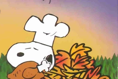 Snoopy, Woodstock, Peanuts, Thanksgiving, Cartoon, Art ...