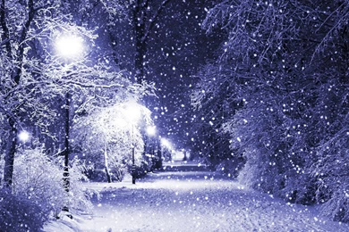 Bing Free Winter Screensavers Wallpapers