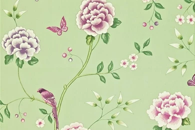 Birds And Butterflies Wallpapers   All Wallpapers New