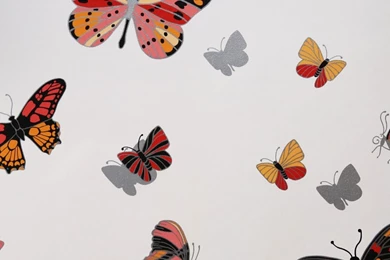 Bird And Butterfly Wallpapers From I Want Wallpapers