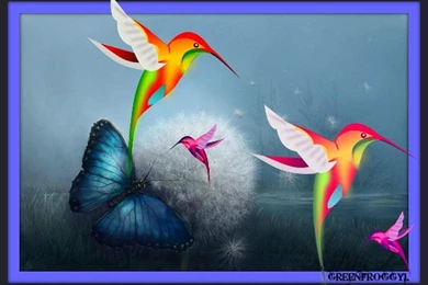 Birds And Butterflies   (