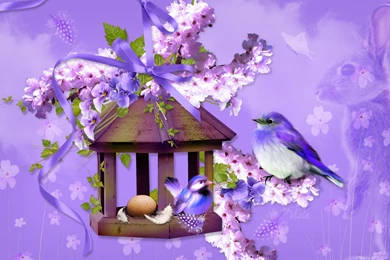 Birds Spring Birdhouse Design Sakura Egg Pansies Birds Ribbon Bow ...
