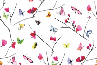 Download Free 250 High Quality Butterfly Wallpapers   The Quotes Land