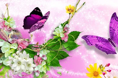 Twinkle Wallpapers >> Backgrounds With Quality HD