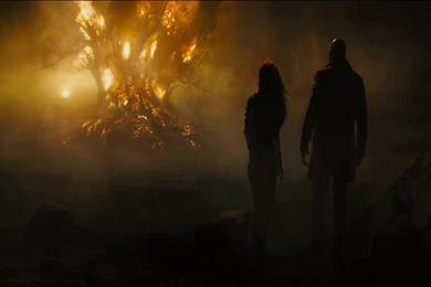 The Last Witch Hunter Starring Elijah Wood, Rose Leslie And Vin ...