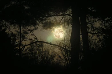 Moon Night Super Moon – Nature Sky HD Desktop Wallpapers