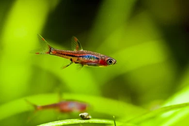 iMac 21.5" Wallpapers Page 9: Video Games Mario Super Bros Retro ...