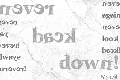 Never Back Down Wallpapers By BaDBuNnYyY On DeviantArt