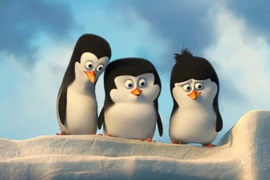 Penguins Of Madagascar HD Wallpapers ~ Toptenpack.com