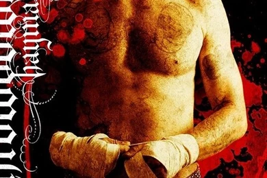 Never Back Down   Cam Gigandet Photo (1087604)   Fanpop