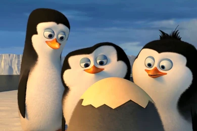 Penguins Of Madagascar Movie Wallpapers