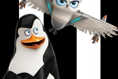 Penguins Of Madagascar Kowalski And Eva HD Desktop Wallpapers ...