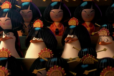 Penguins Of Madagascar Kowalski And Eva Wallpaper_other_health ...