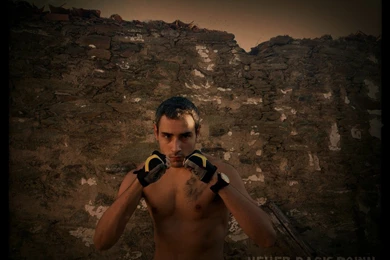 Never Back Down   Wallpapers By Sssnakeee On DeviantArt