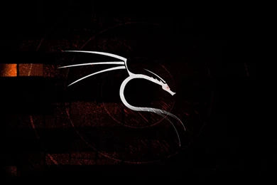 Backtrack 5, Linux, 1920x1200 HD Wallpapers And FREE Stock Photo