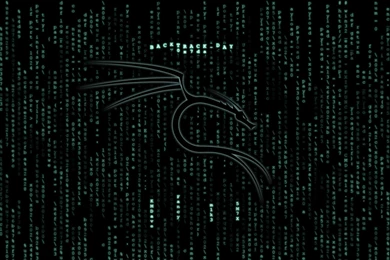 1600x900px Backtrack