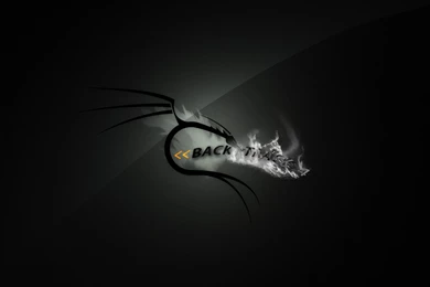 High Quality Backtrack Wallpapers