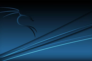 Wallpapers Backtrack New For Everyone To Enjoy On The Holidays ...