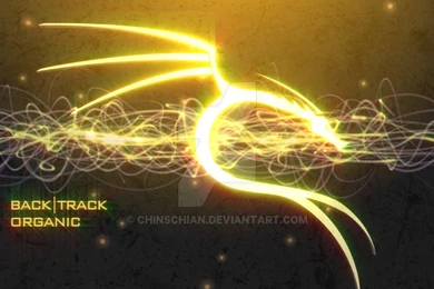 BACKTRACK WALLPAPER By Chinschian On DeviantArt