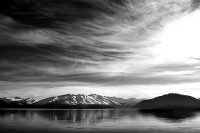 531 White HD Wallpapers