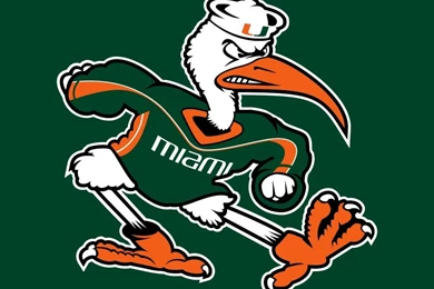 University Of Miami   UM Paleontology And Paleobiology