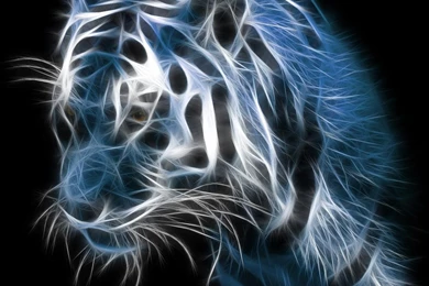 Free Tiger Abstract Wallpapers For Windows
