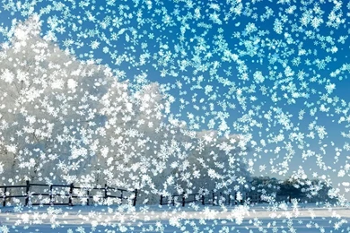 Motion Desktop Wallpapers   Wallpapers Cave