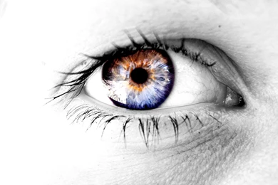 Eye Computer Wallpapers 5779 1440x900   UMad.com