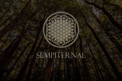 Bring Me The Horizon 2015 Wallpapers   Wallpapers Cave