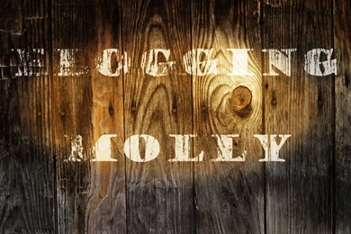 Flogging Molly Text By AnnaMae60 On DeviantArt