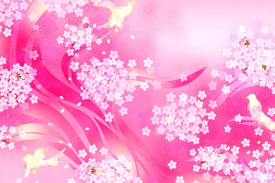 Colorful Flower Wallpapers Designs