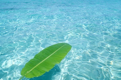 Natural Beauty Wallpapers HD, HD Desktop Wallpapers