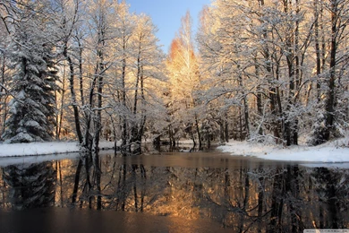 Download Forest Lake, Winter Wallpapers Wallpapers Widest