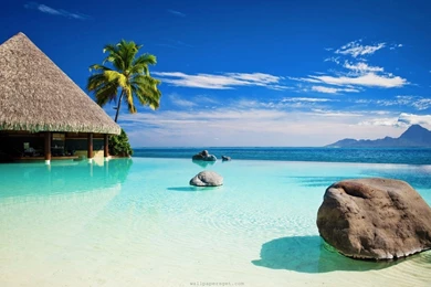 Wallpapers Wedding Planning Exotic Tahiti Oceania Paradise ...