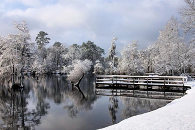 Download Wallpapers 3840x2160 Winter, Lake, Park, Trees, Hoarfrost ...